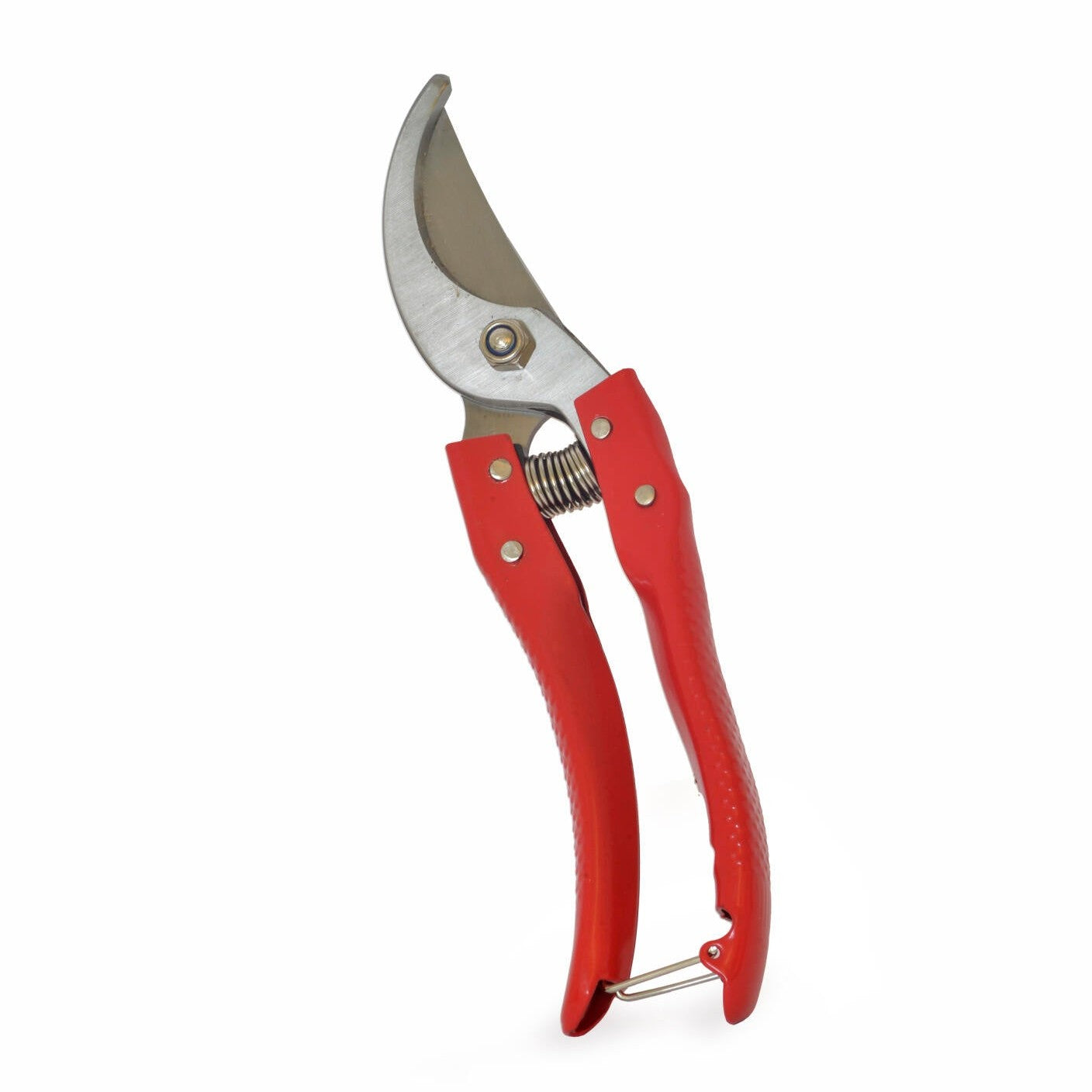 Papegojsekatör 21 cm